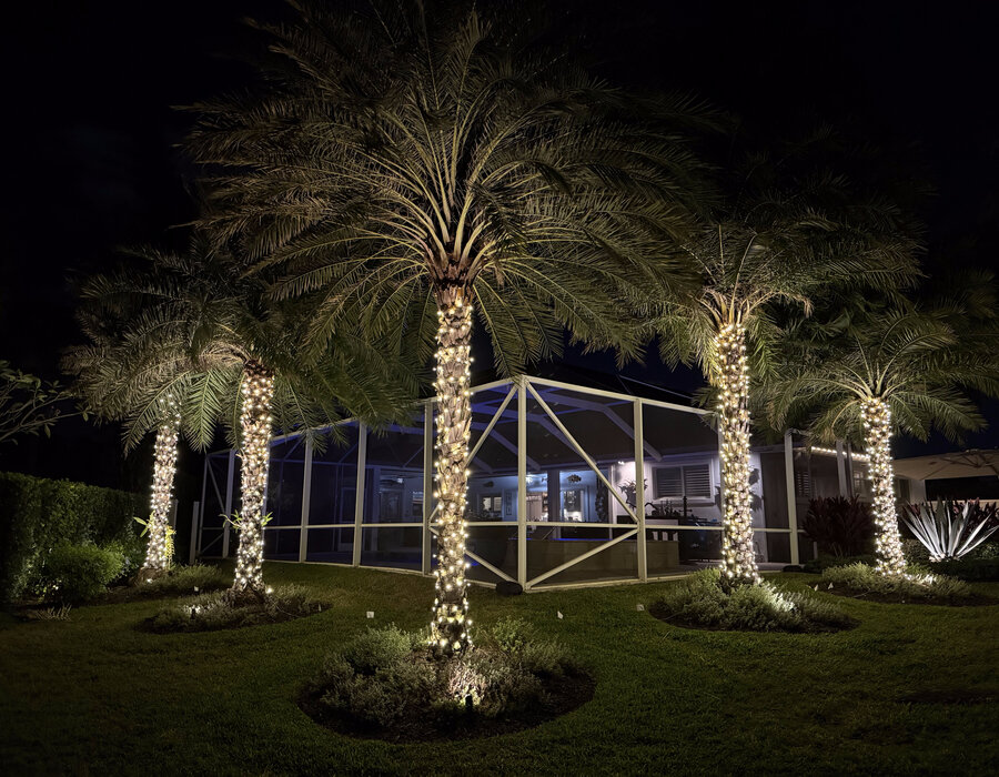Palm trees wrapped in holiday lights around a home's pool enclosure at night