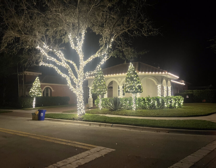Oak tree and rooflines outlined in holiday lights at a Palm Beach County home