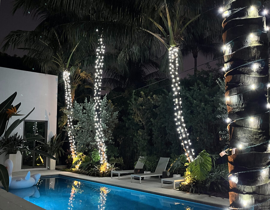 Palm trees wrapped in holiday lights beside a screened pool